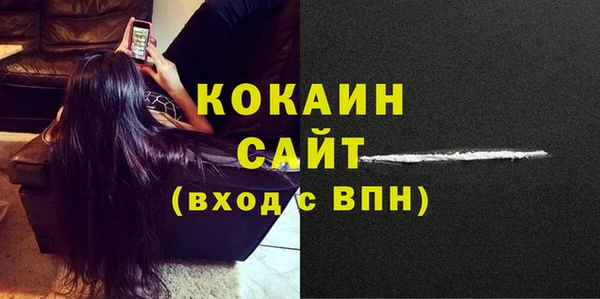 гашик Аркадак