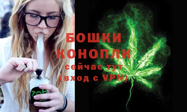 гашик Аркадак