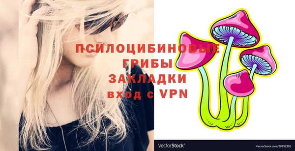 гашик Аркадак