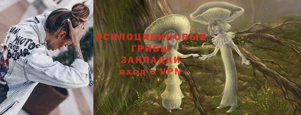 дмт Балахна