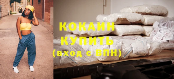 гашик Аркадак