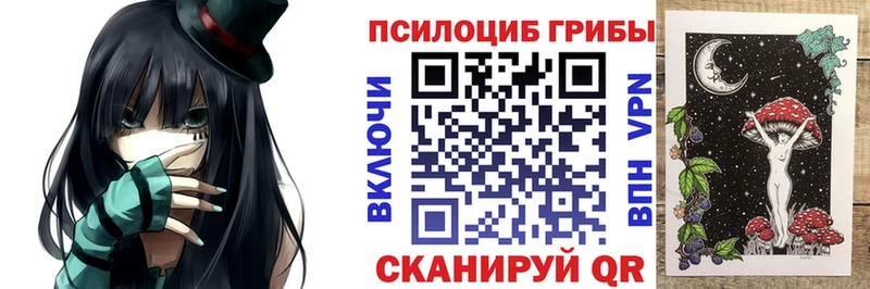 Купить закладки Дудинка Псилоцибиновые грибы мицелий