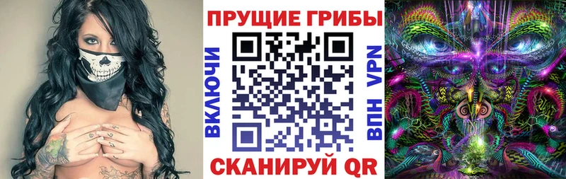 Галлюциногенные грибы Psilocybine cubensis Дудинка